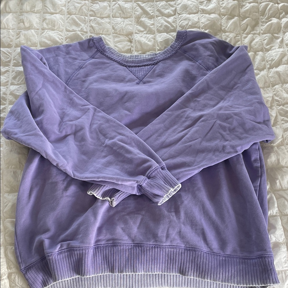 American Eagle Outfitters Purple Crew Neck Sweater